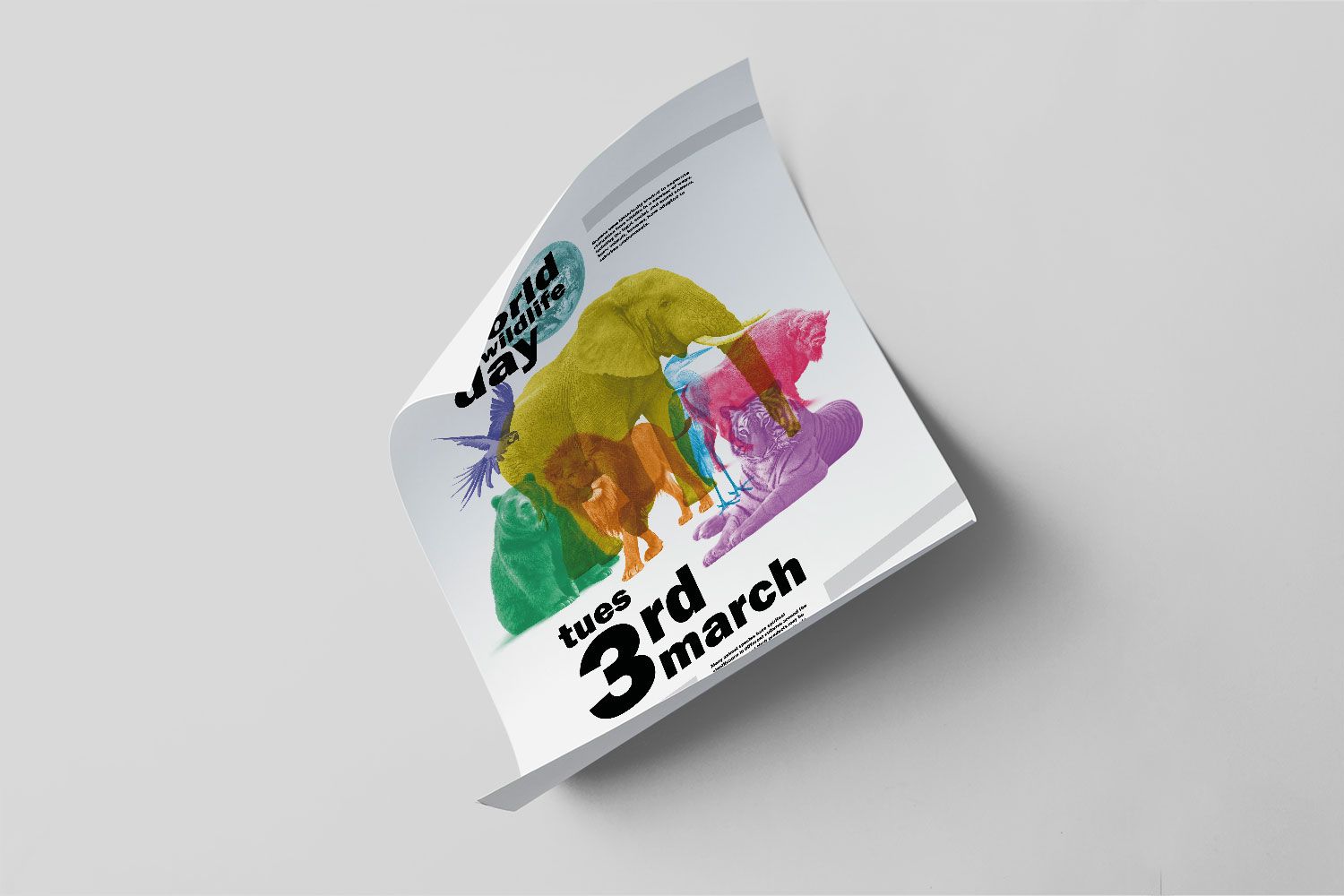 Printing Posters Coatbridge Glasgow Edinburgh Scotland Uk A Size Poster Printers Posters Printing Coatbridge Glasgow Edinburgh Scotland Uk Posters